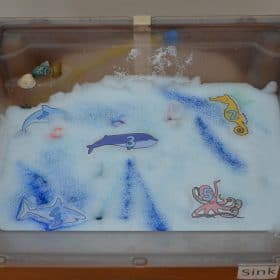 Learning about the sea at Tiny Tree