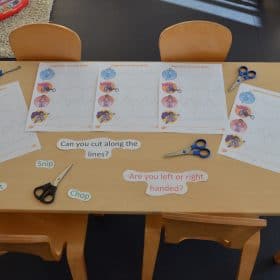 Educational environment at Tiny Tree