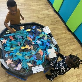 fun times for the over 2's at tiny tree