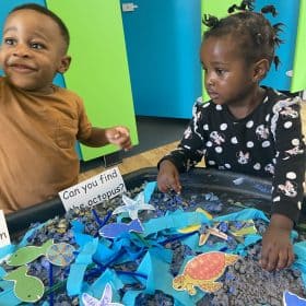 can you find the octopus?