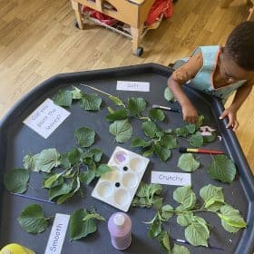 learning about texture with the over 2's