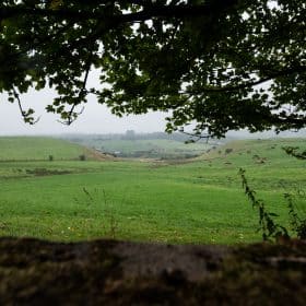 Beautiful environment at Newbank Oldham